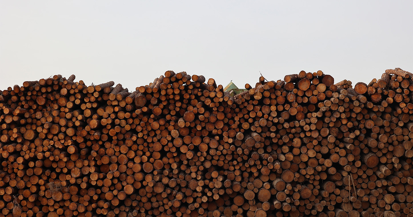 AIGP 2.0 da Sertã em Consulta Pública e com reunião convocada para proprietários