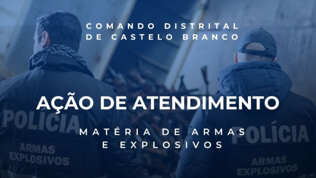 Armas em Segurança